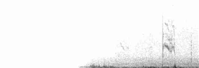 紅燕鷗 - ML367632881