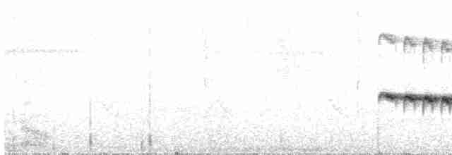 Ak Karınlı Karıncakuşu - ML367673551