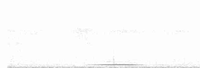 holub šedočelý - ML367694531
