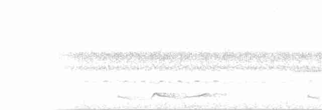 Silky-tailed Nightjar - ML367749031