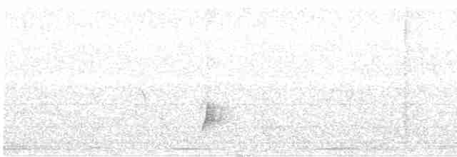 Brown-crested Flycatcher - ML367765251