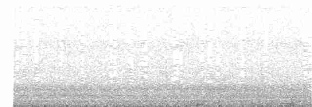 Каньонный крапивник - ML36779981