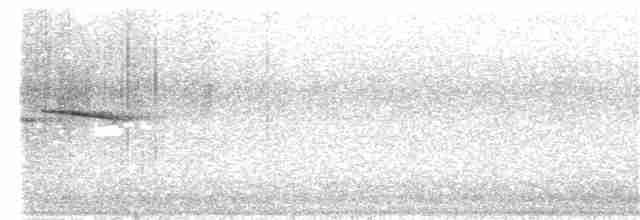 Кустарниковая эуфония - ML36788131