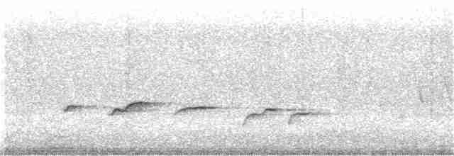 Gri Islıkçı (simplex/brunnescens) - ML367903021