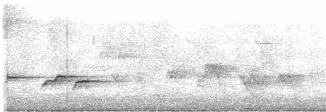 Gray Whistler (Brown) - ML367903031