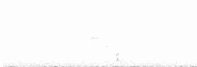 White-tailed Ptarmigan - ML367949581