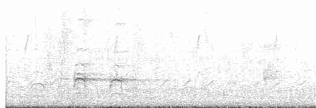 Torresian Kingfisher - ML368104021