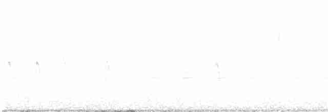 "Шишкар ялиновий (Western Hemlock, або тип 3)" - ML368127701