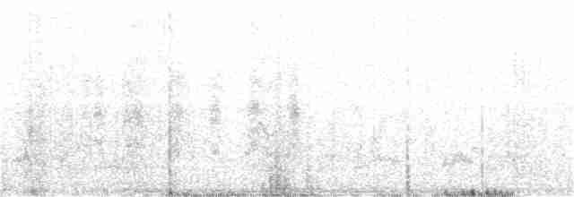 Woodchat Shrike - ML368172911