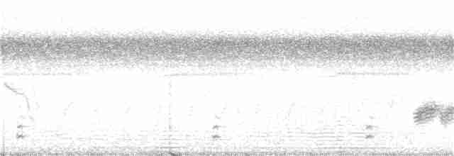 Віреон мангровий (підвид ochraceus/semiflavus) - ML368172921