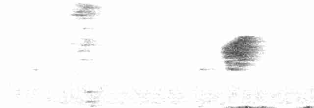 Вилохвістка плямиста - ML368174251