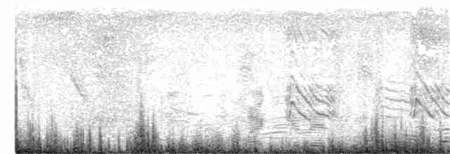 Cratérope de Sharpe (sharpei) - ML368209441