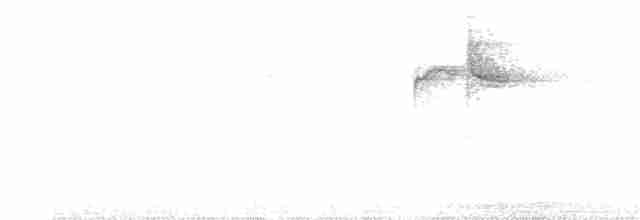 White-browed Warbler - ML368266831