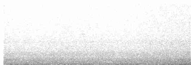 Grauscheitel-Olivtyrann - ML368372621