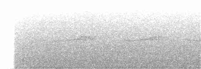 Streifenfaulvogel - ML368403651