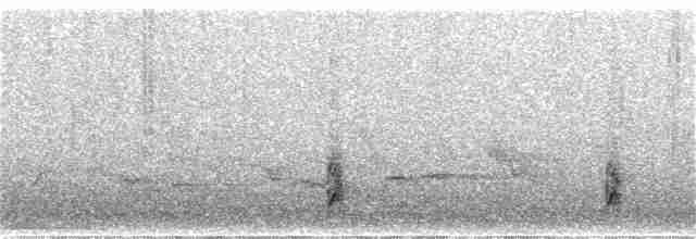 Spotless Crake - ML368427341