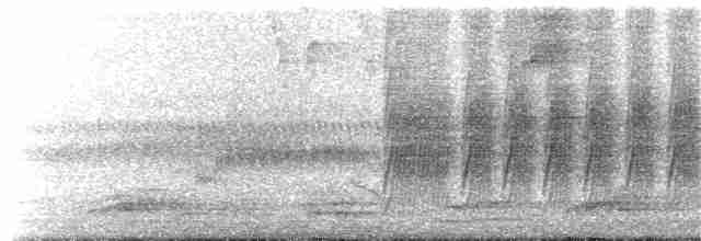 Kestane Karınlı Lacivert Öfonya - ML368807211
