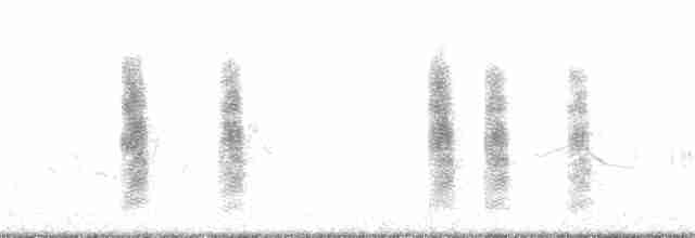 Western Black-eared Wheatear - ML368834801