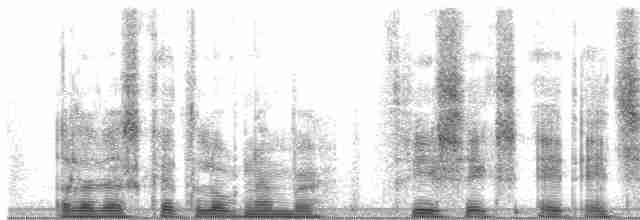 Борнейская лесная куропатка - ML36887