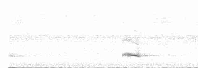 Channel-billed Toucan (Yellow-ridged) - ML368870181