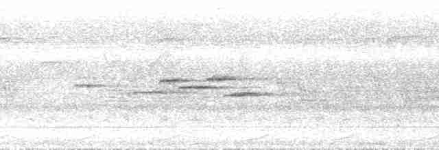 Борнейская китта - ML36896