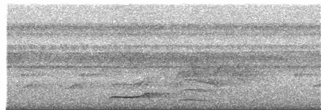 Pic ondé (groupe grammicus) - ML369040581