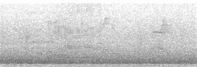 volavka stříbřitá (ssp. garzetta) - ML369102301