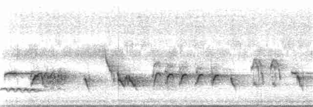 Turuncu Başlı Ardıç - ML369104051