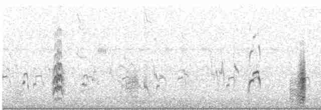 Ibis à face blanche - ML369117291
