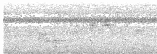 Бледноногая короткохвостка - ML369130321