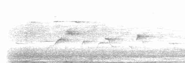 Серогрудый крапивник - ML369134201