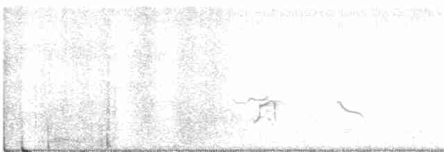 kulík hnědokřídlý - ML369148711