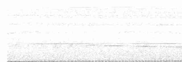 Short-tailed Babbler - ML369211441