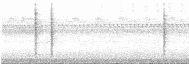 Marsh Wren (palustris Group) - ML369232671