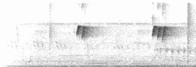 Мухолов-клинодзьоб сірий - ML369248161