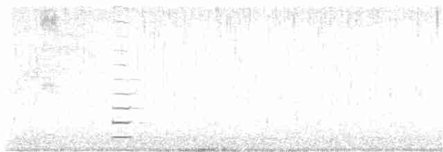 Spot-flanked Gallinule - ML369320791