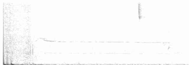 Black-tailed Gnatcatcher - ML369346281