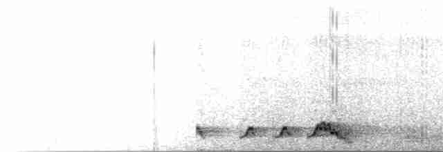 Rostnachtschwalbe - ML36937351