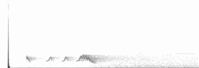 Rufous Nightjar - ML36937361
