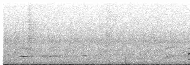 Bolivian Slaty-Antshrike - ML369398441