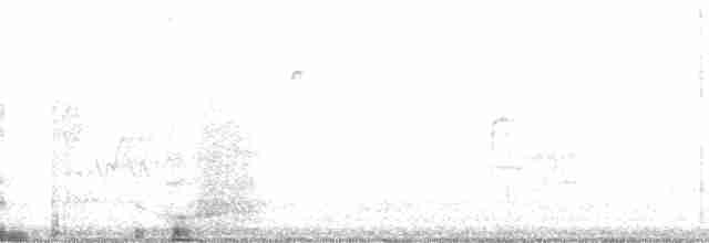 Brown-headed Cowbird - ML36941