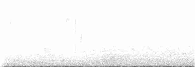 tyranovec vrbový - ML369456151