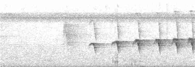 Nordamazonien-Ameisenschnäpper - ML369495291
