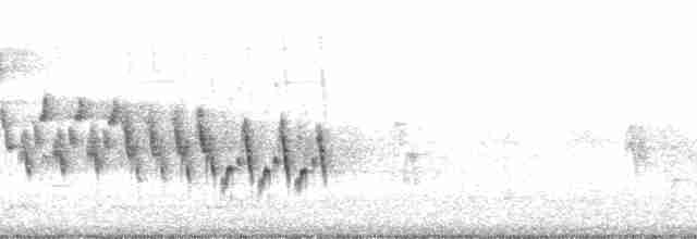 Ev Çıtkuşu [aedon grubu] - ML36952