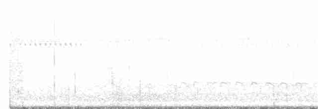 中杓鷸(Hudsonian) - ML369567781