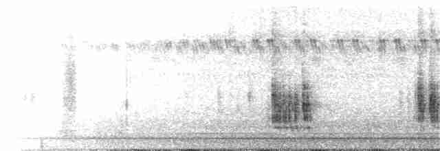 Кактусовый пересмешник - ML369645231