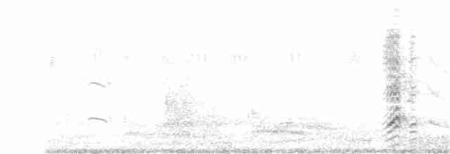 Large Gray Babbler - ML369681911