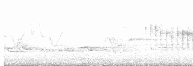 vlhovec hnědohlavý - ML369716421