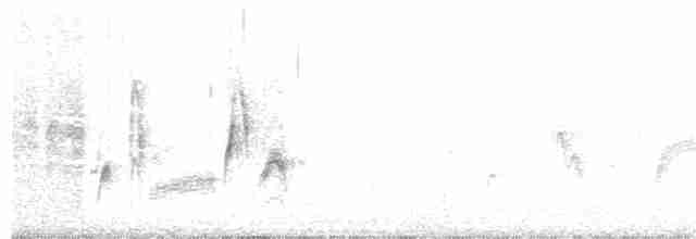 White-eyed Vireo - ML36971951