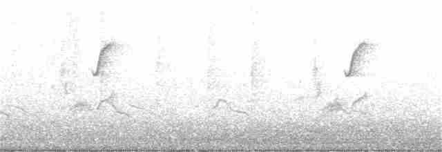 Western Flycatcher (Pacific-slope) - ML369752011